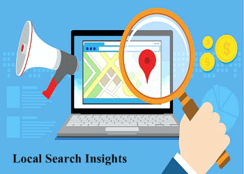 local-search-insights